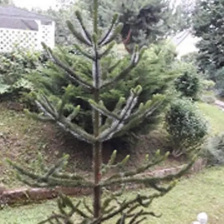 1 Norit Schlosser Holiday home