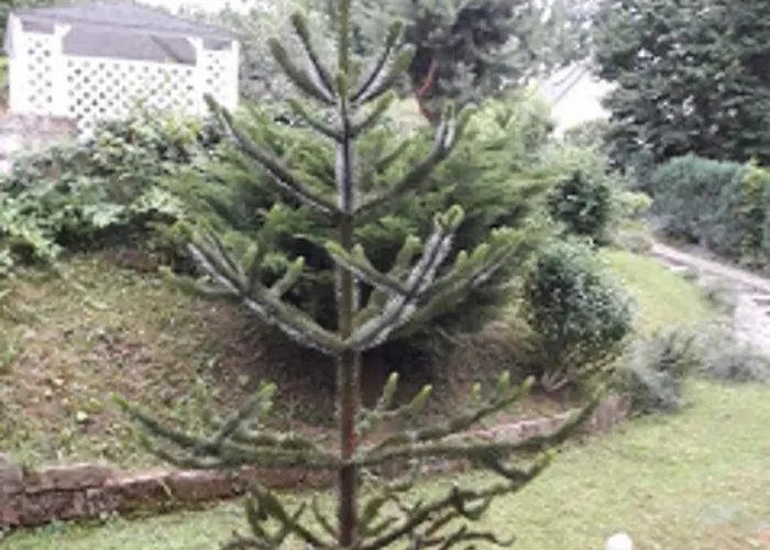 1 Norit Schlosser Holiday home